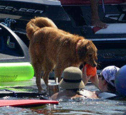 Aquapalooza 2016 Grand Lake, OK