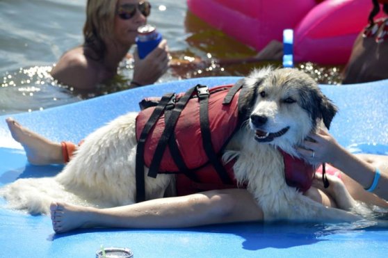 Aquapalooza 2016 Grand Lake, OK