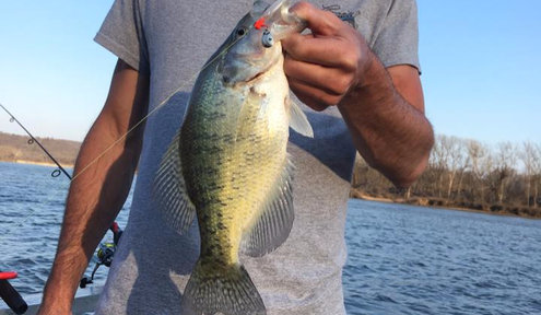 March 21st Fishing Report by Lance Guide Service