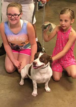 Second Chance Pet Rescue Receives Donation from 7-Year Old Macie Allen of Morrison, Colorado
