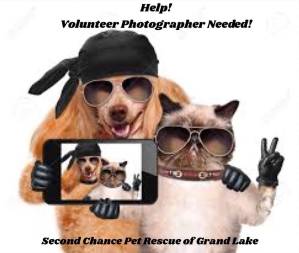 Volunteer Photographer Needed at Second Chance Pet Rescue