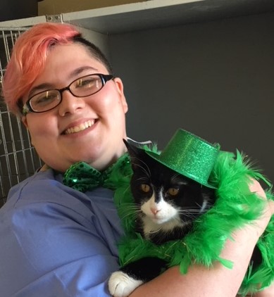 Celebrate St Patrick S Day With 17 Cat Adoption At Second Chance Pet Rescue