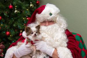 Santa Paws Pet Photos on Friday and Saturday at Grove's Second Chance Thrift Shop