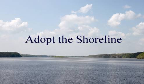 Adopting the shoreline