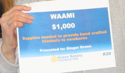 Rotary Grants