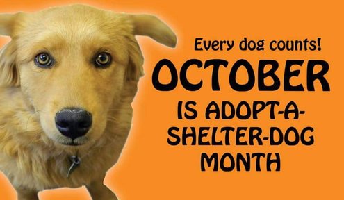 "Rescue a Dog Poem" for October's Adopt-A-Shelter Dog Campaign