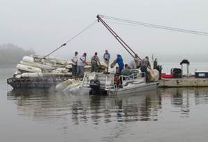 Shoreline Cleanup Near Grove Completed