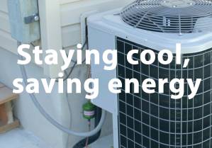 Staying cool, Saving energy
