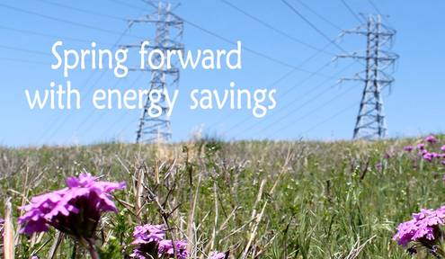 Spring forward with energy savings