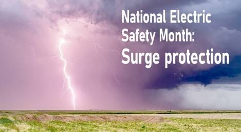 Power for Progress: More about surge protection