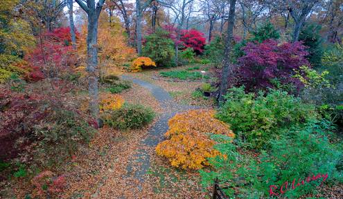 Lendonwood seeks volunteers for fall workday Oct. 28