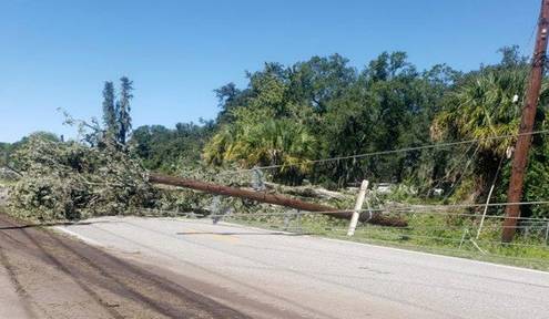 Power for Progress: Downed power lines? Stay away and stay safe!