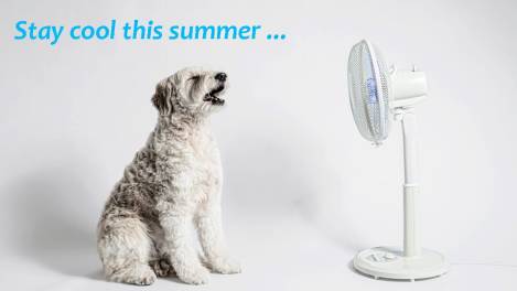 Power for Progress: Tips to keep you cool, efficiently