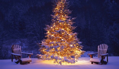 Lights of the Christmas Tree